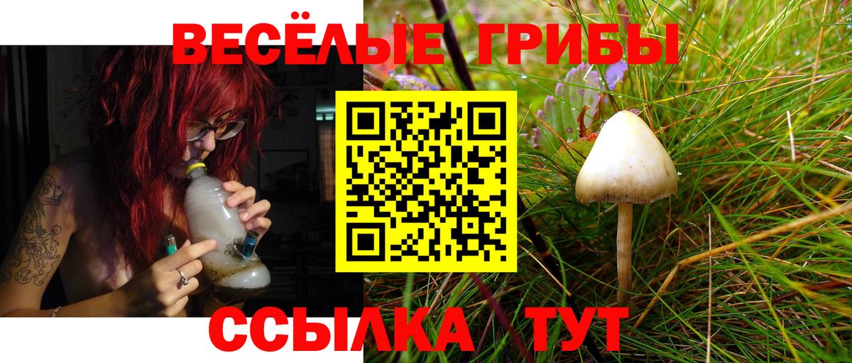 Шарыпово  где найти наркотики  Вход с VPN  Псилоцибиновые грибы прущие грибы 