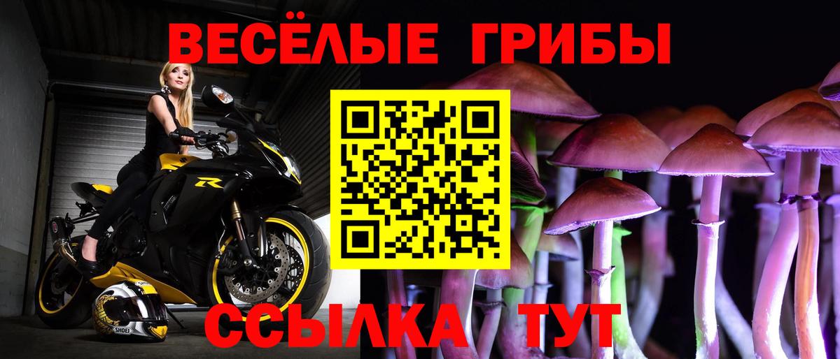 Галлюциногенные грибы мухоморы Шарыпово